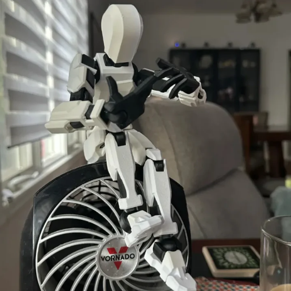 RoboFlex 360 - Robô Multiformas