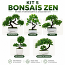 Kit 5 Bonsais Zen - Prosperidade e Boas Energias Para Sua Casa