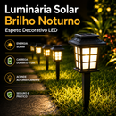 Kit Luminária Solar Brilho Noturno - Espeto Decorativo LED