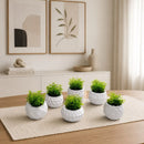 Kit 6 Vasos Decorativos Verde Encanto + Plantas Artificiais Grátis