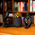 Kit Decorativo Trio Elegance - Leitor, Pensador e Vaso Espiral